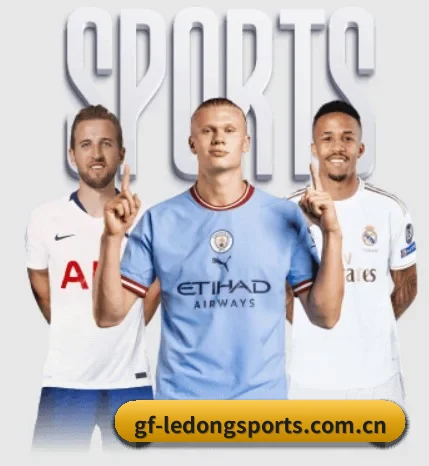 本站五个常用功能入口,赛程查询路径更短(LDSPORTS)